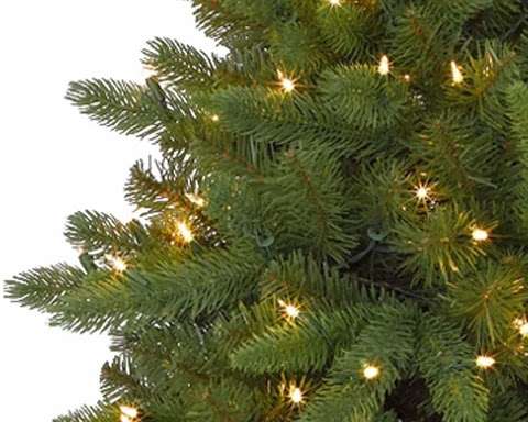 Photo: Christmas Tree Classics